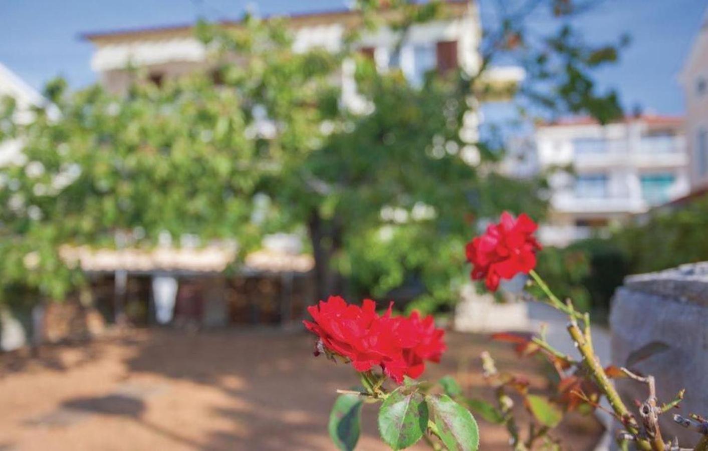 Apartments Nikola ปูนัต ภายนอก รูปภาพ